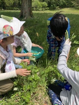 IMG 0641[1] original.