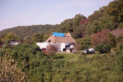 S IMGP2963_original.